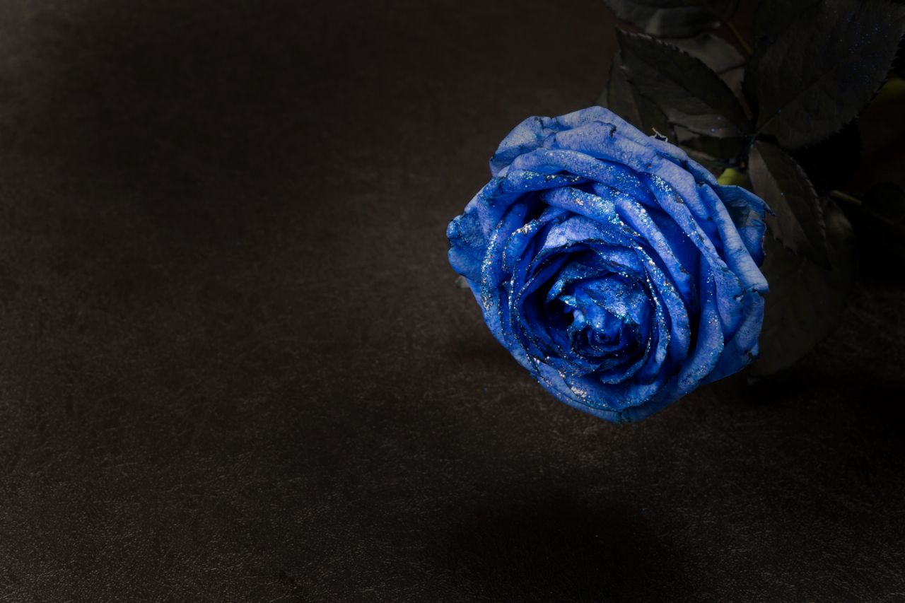 もっと青いバラが欲しいなら「染め」の青バラがおすすめ