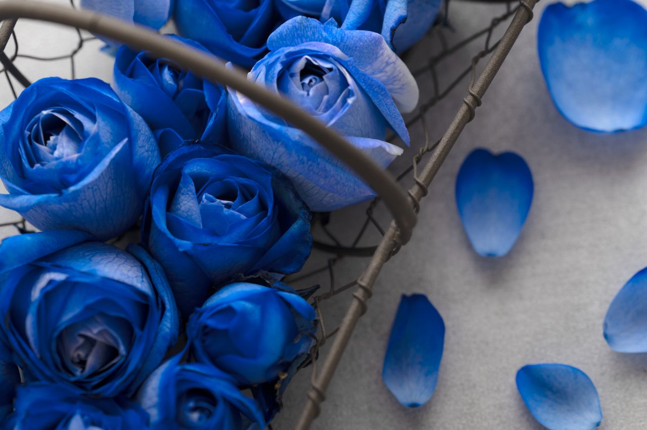 青いバラ「アプローズ」を手に入れる方法