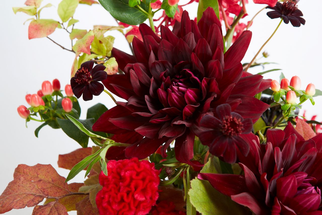 「お祝い花」にはダリアの花を使ったアレンジメント
