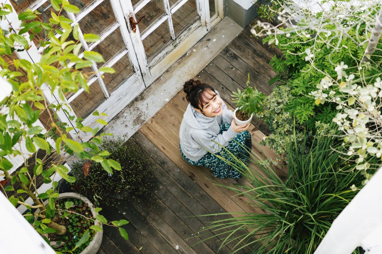 ガジュマルを植え替える最適なタイミング