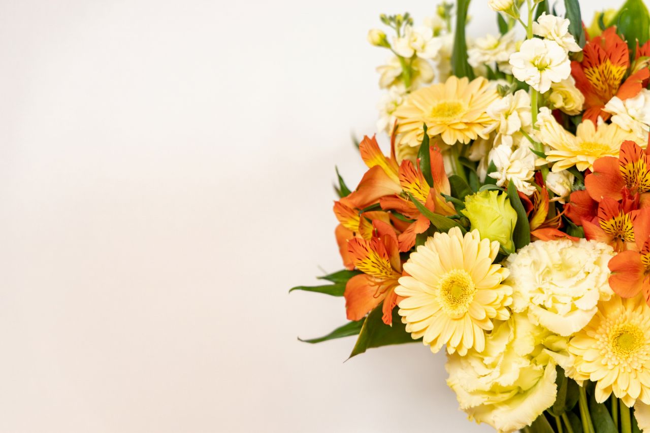 黄色いガーベラの花言葉は「究極の美しさ」「究極の愛」