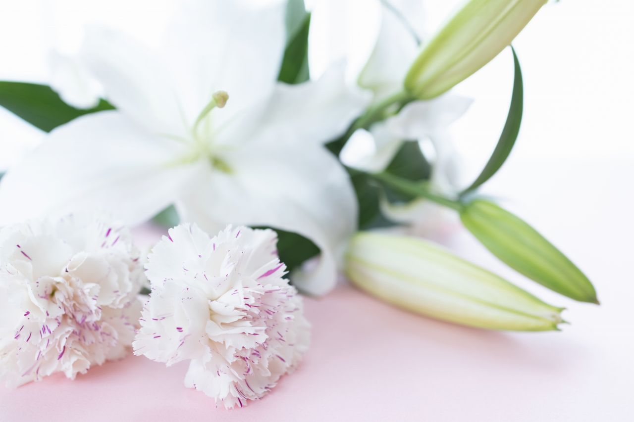 母の日参りに人気のお花は「白いカーネーション」