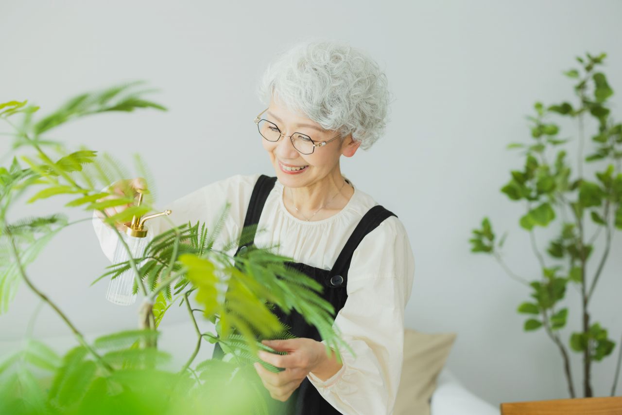 第13位　昼と夜で表情が変わる大型観葉植物「エバーフレッシュ」