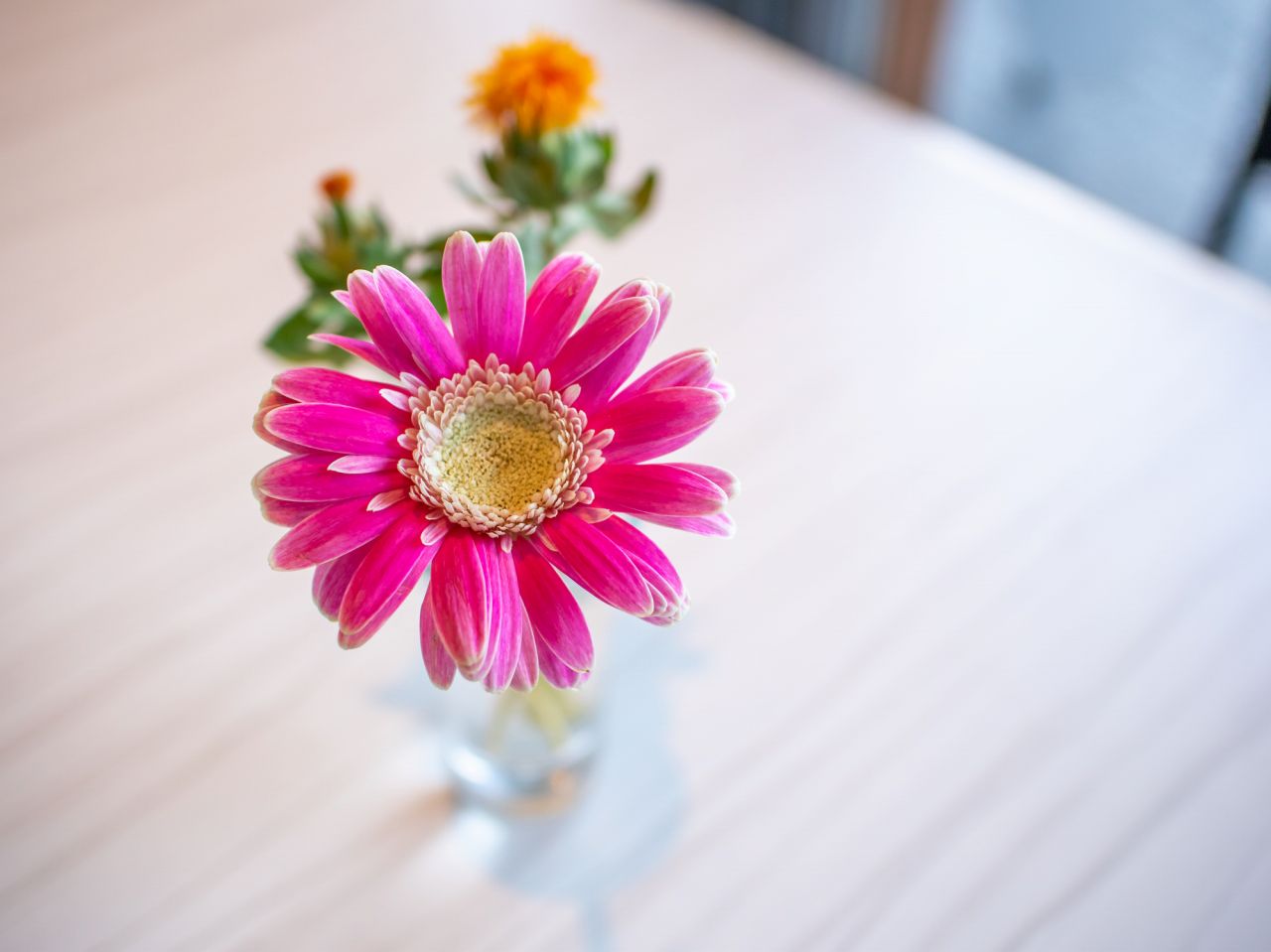 お花サブスクの比較ポイント③：花のボリュームがお部屋に合うか