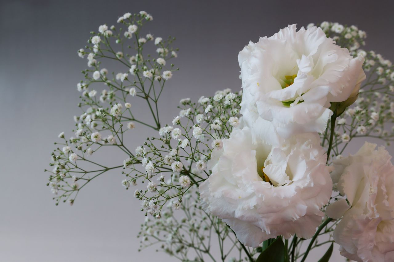 四十九日のお供え花は白を基調にしたものにする