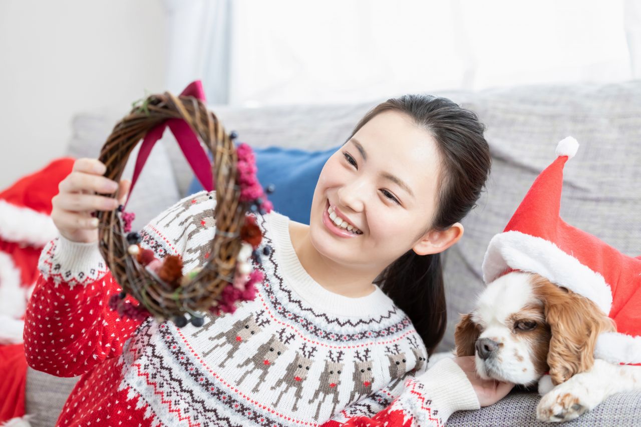 ポインセチアはクリスマスの花として有名なのは色が関係しています