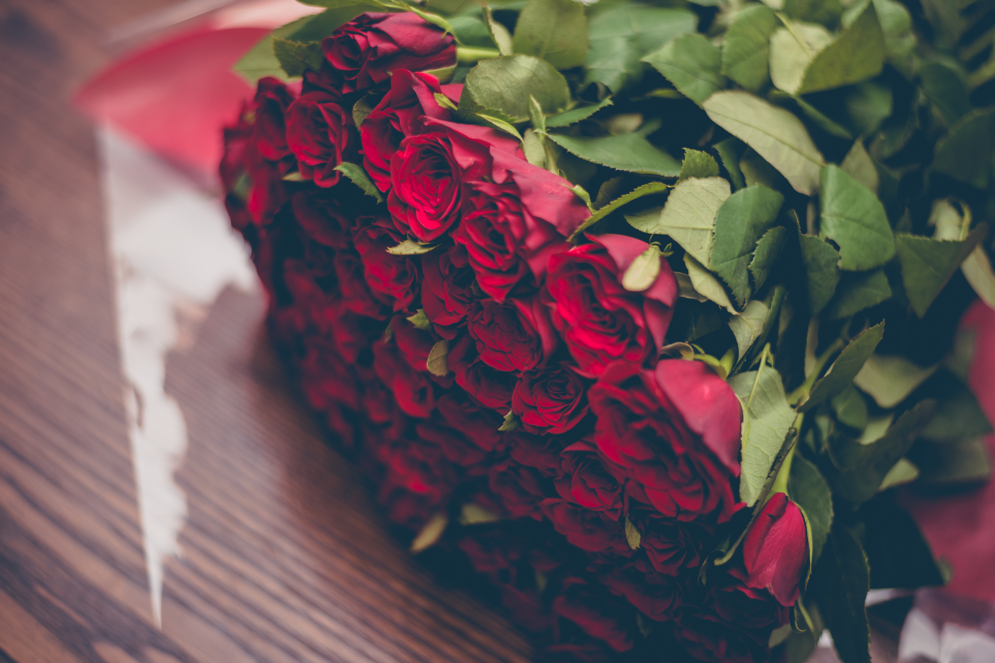 赤のバラの花言葉は「あなたを愛します」