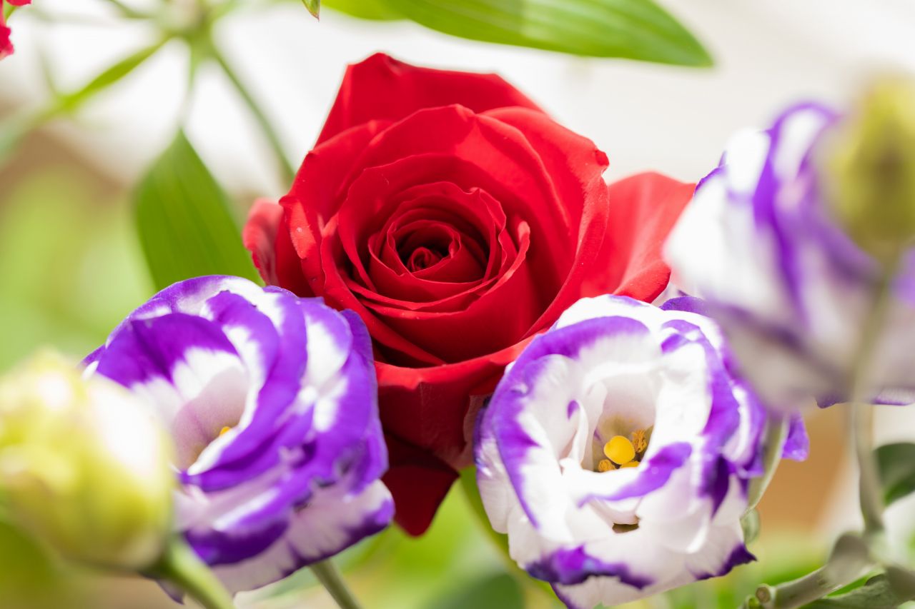 卒寿におすすめの花・バラやトルコキキョウなど