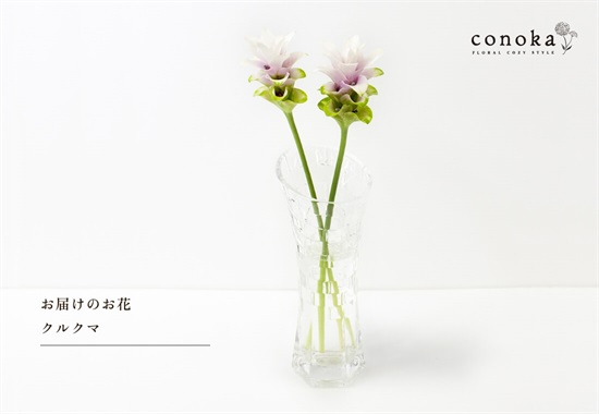 conoka×スマイルフラワープロジェクト　季節のお花　お供え　洋花