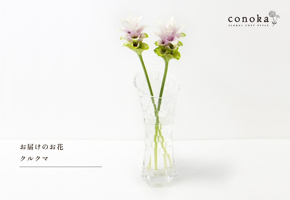 conoka×スマイルフラワープロジェクト　季節のお花　お供え　洋花