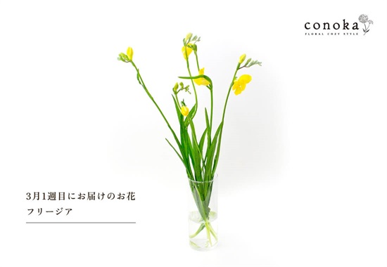 商品画像04