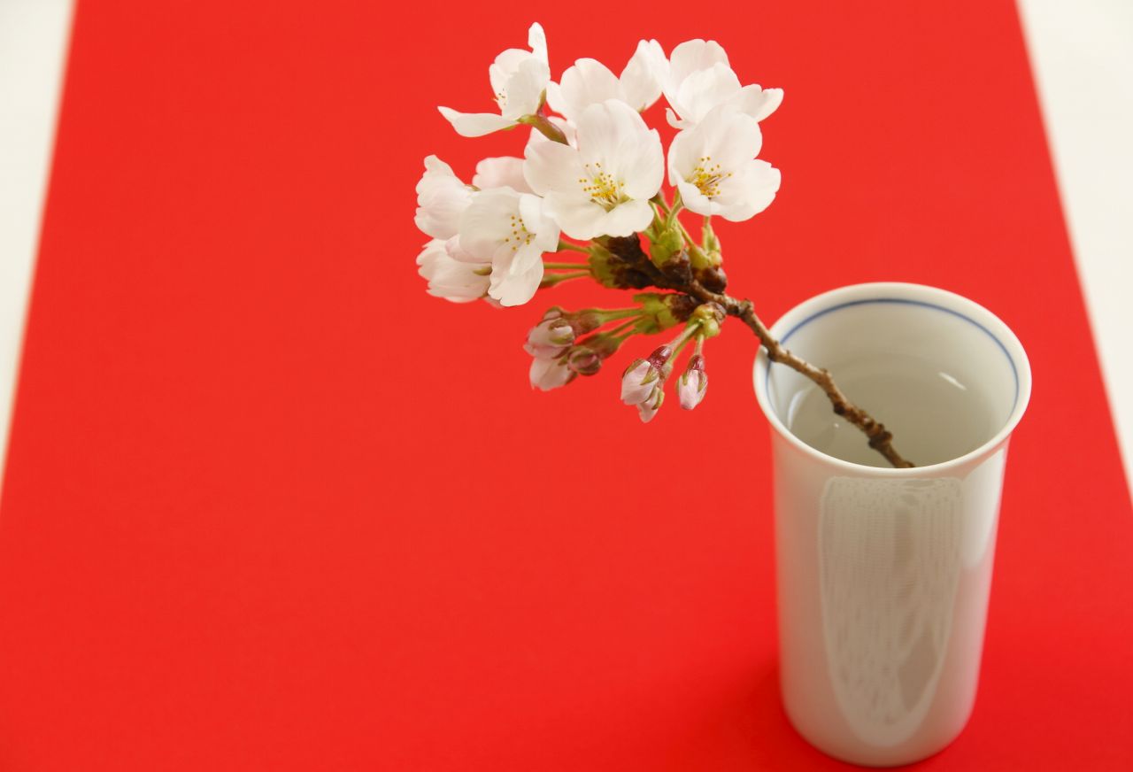 桜の花と日本文化のつながりを知る｜お花見が楽しくなる桜の知識をご紹介
