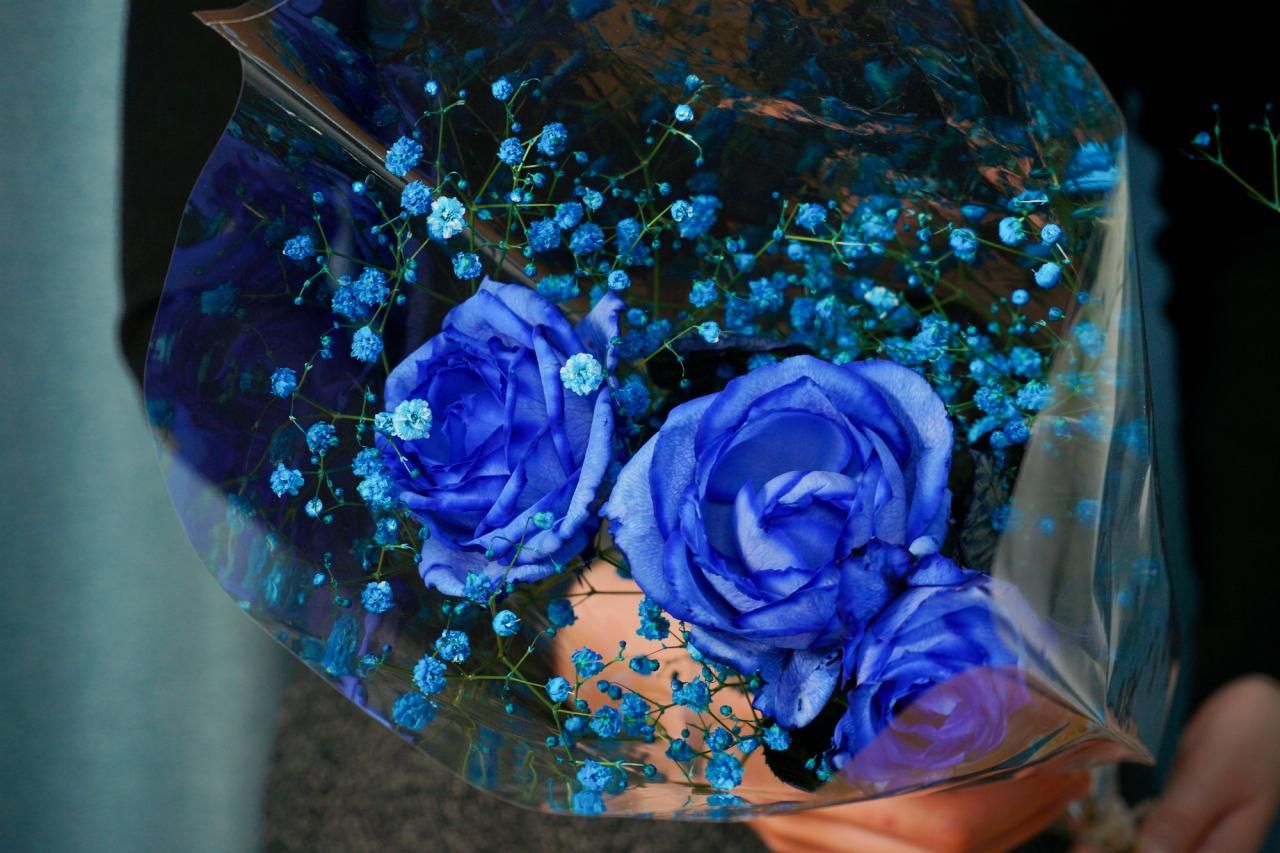 青いバラの花言葉は「夢かなう」その他の色のバラの花言葉も解説