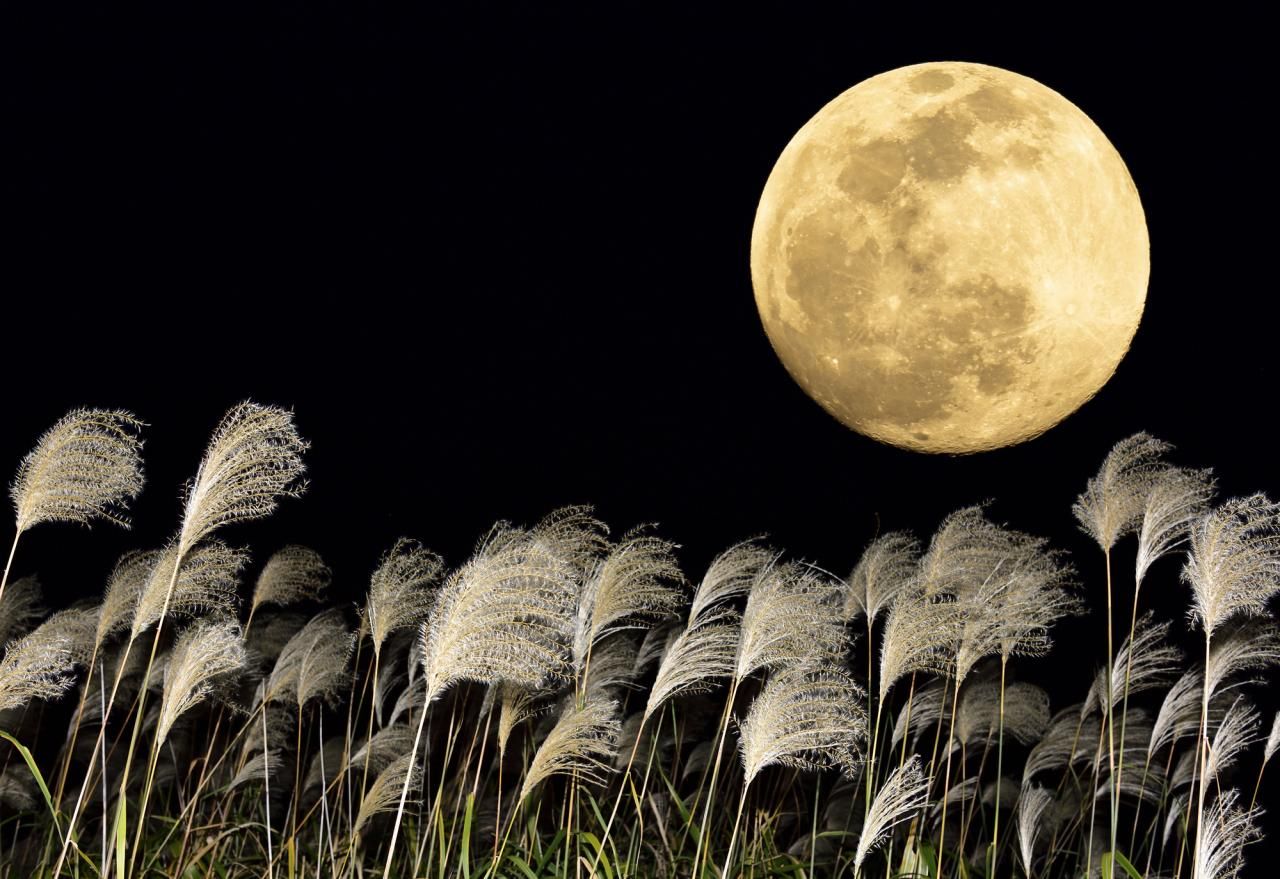 2022年の中秋の名月はいつ？お月見の歴史や楽しみ方について解説