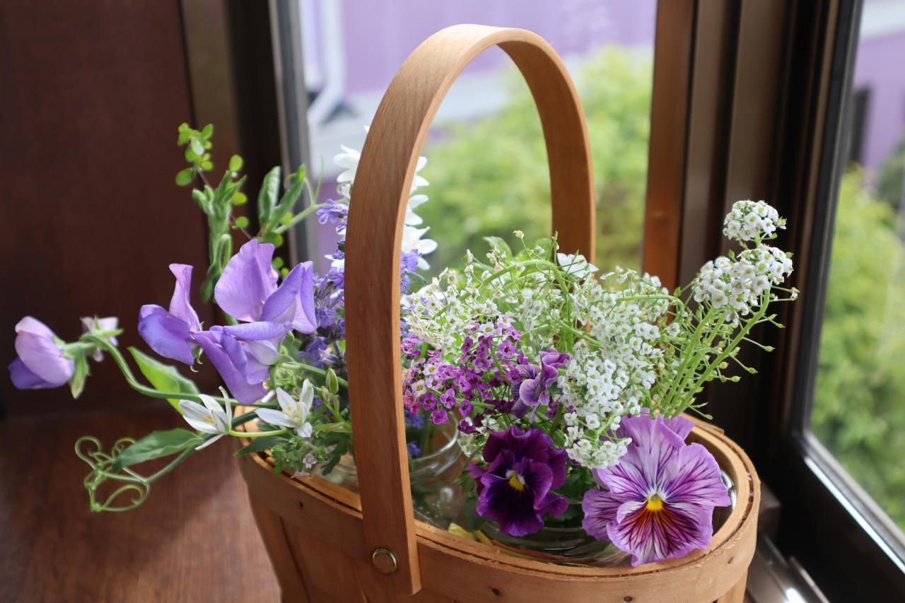 春の紫色の花7選！ガーデニングにおすすめな品種・花言葉をご紹介 